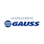 GAUSS